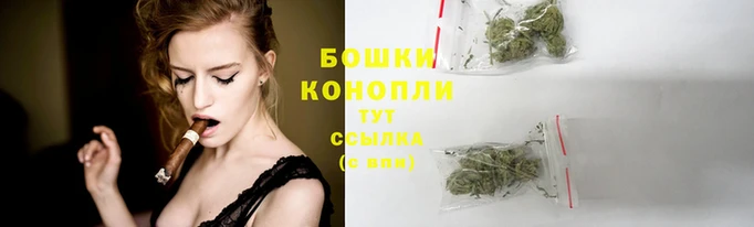 мяу мяу мука Новодвинск